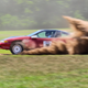 Illustration for article titled Ohio Valley RallyCross PhotoDump